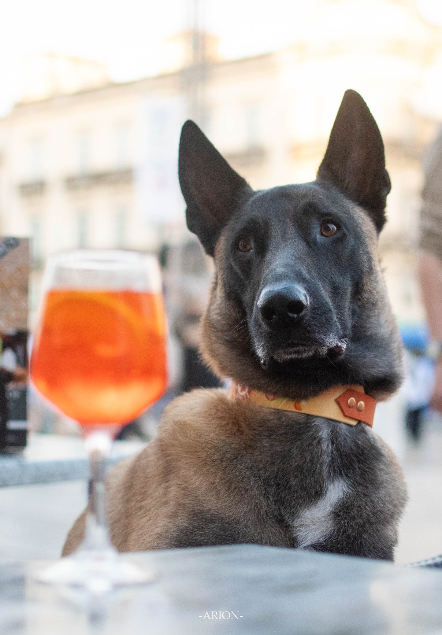 Starpups Spritz