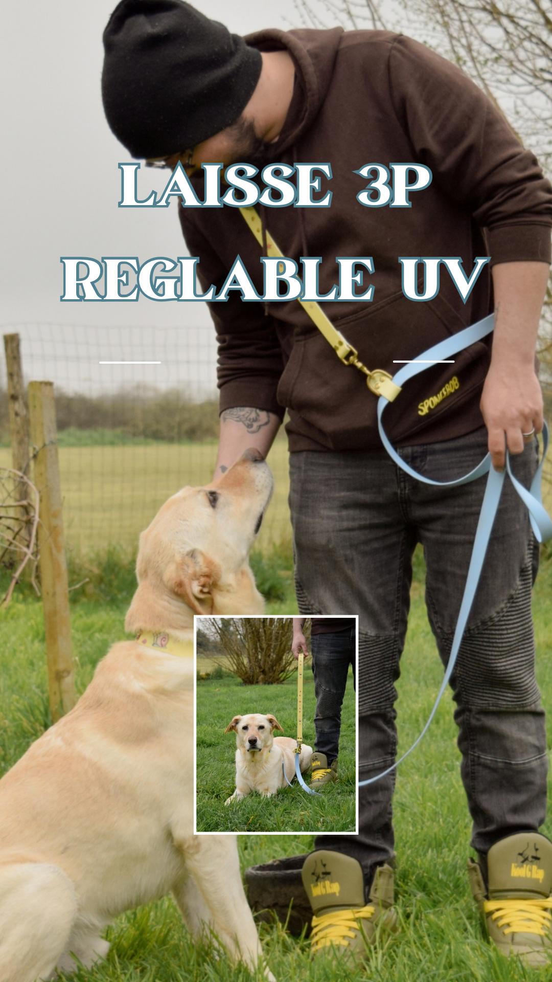 Laisse réglable en UV