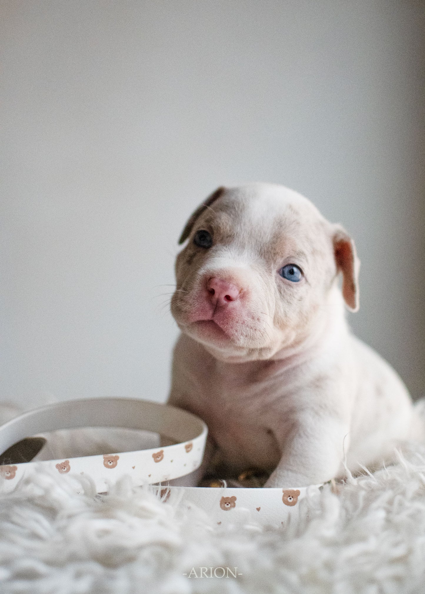 🐾 Ma toute première box - motif 🧸