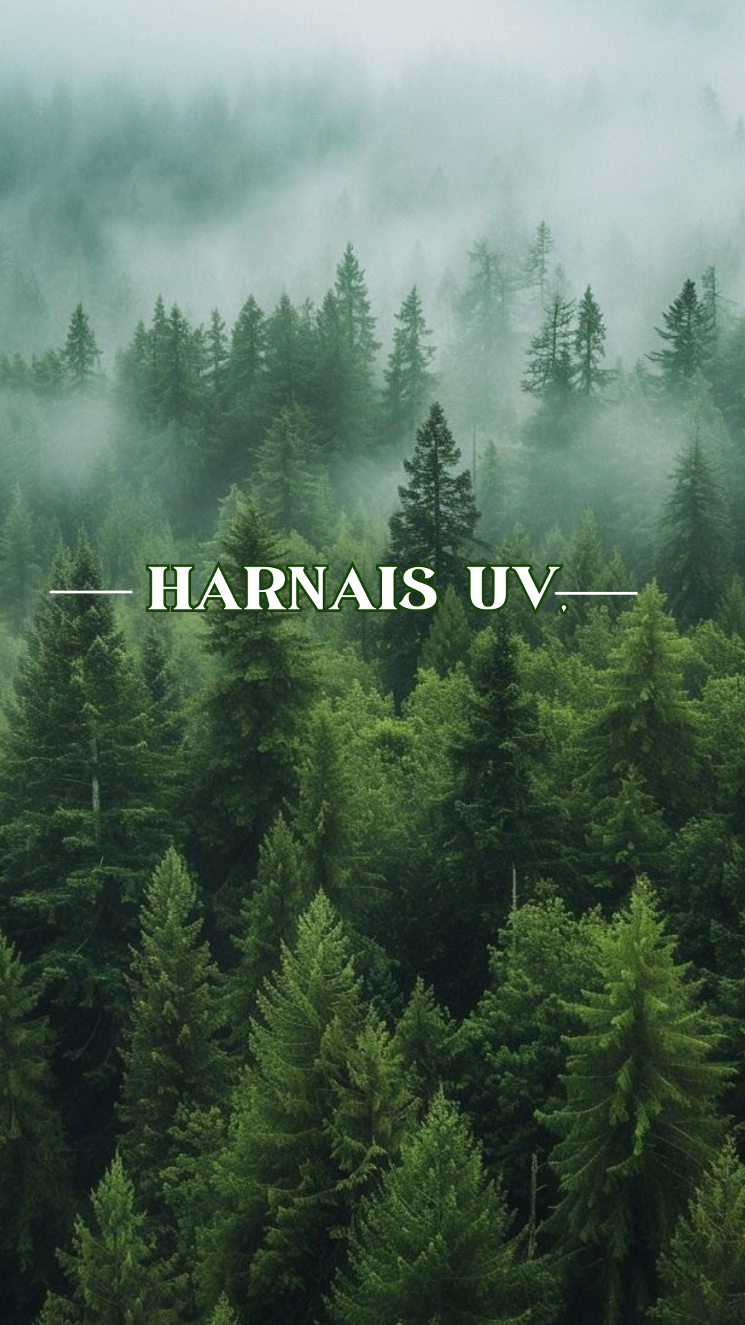 Harnais impression UV