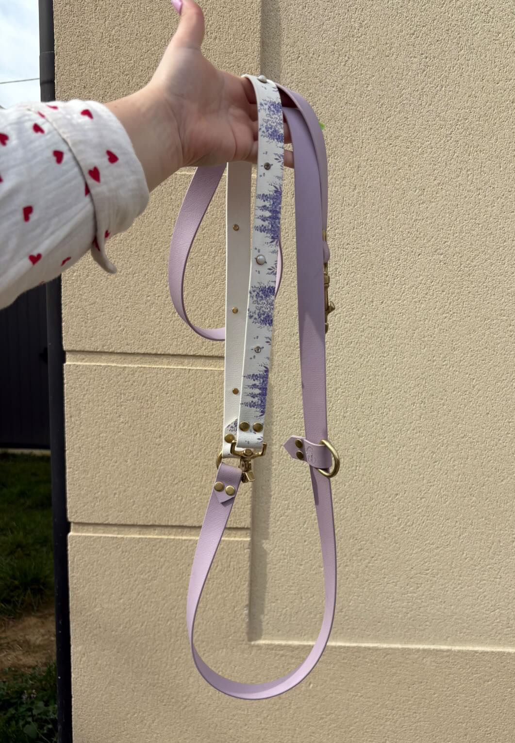 Laisse réglable en UV