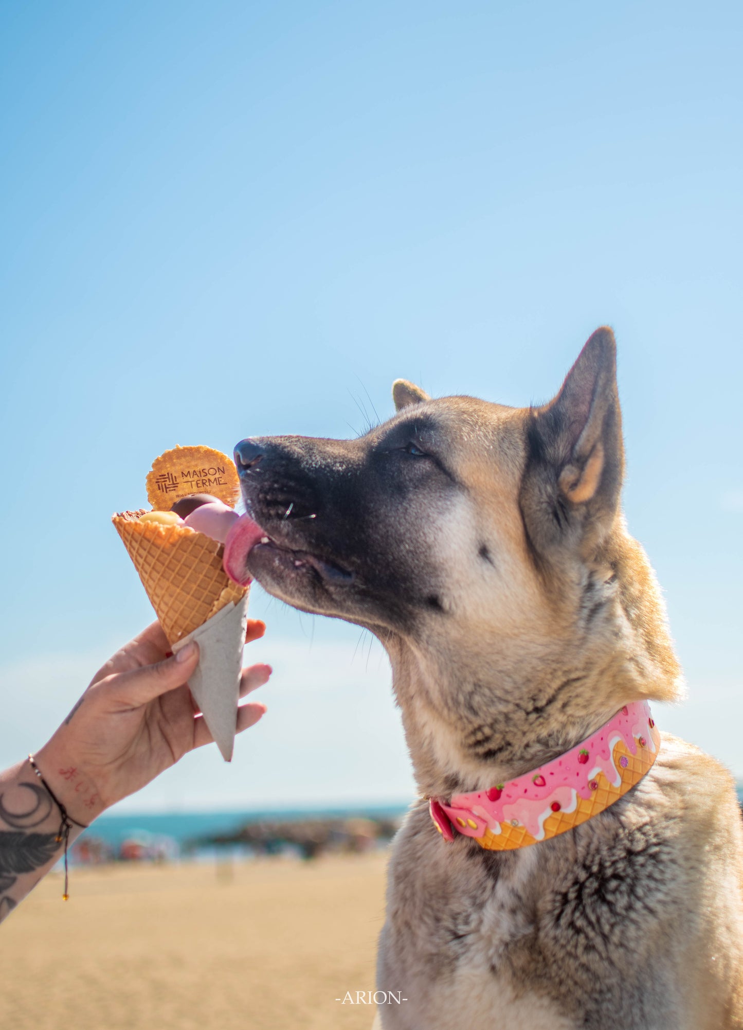 Ice cream