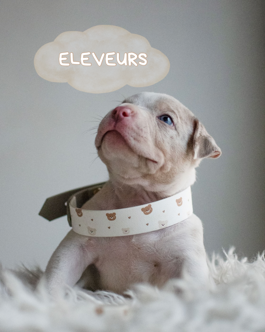ELEVEURS - 🐾 Ma toute première box