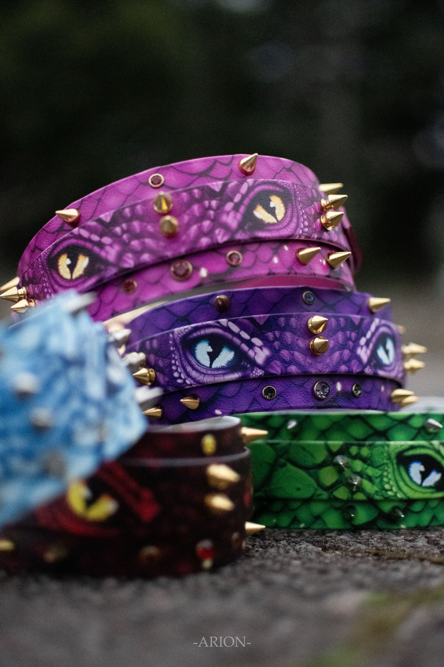 Dragons