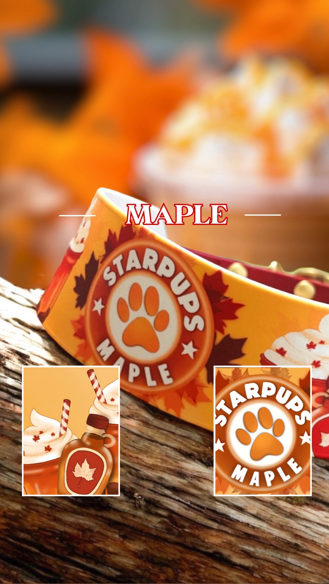 Starpups Maple