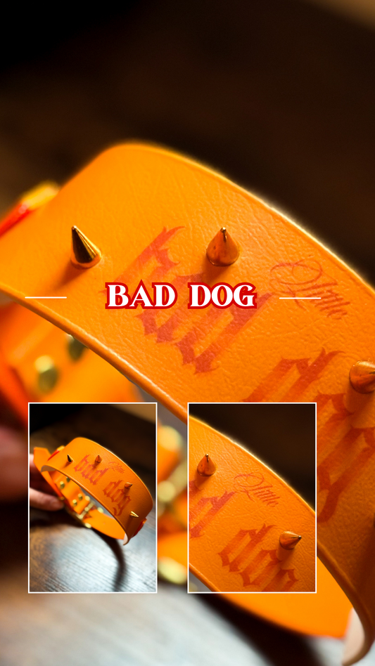 Bad Dog