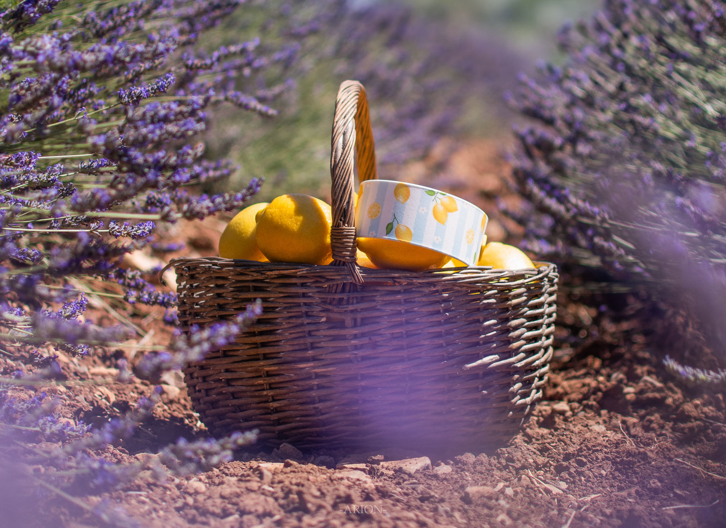 Citrons
