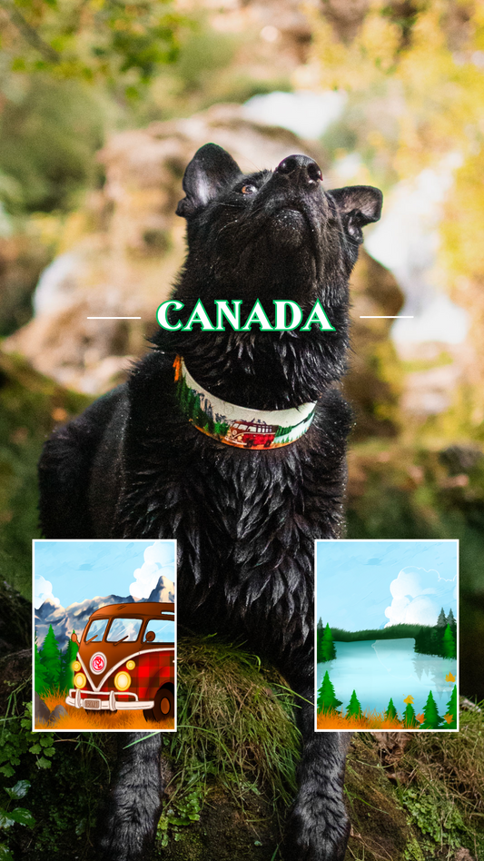 Van Canada