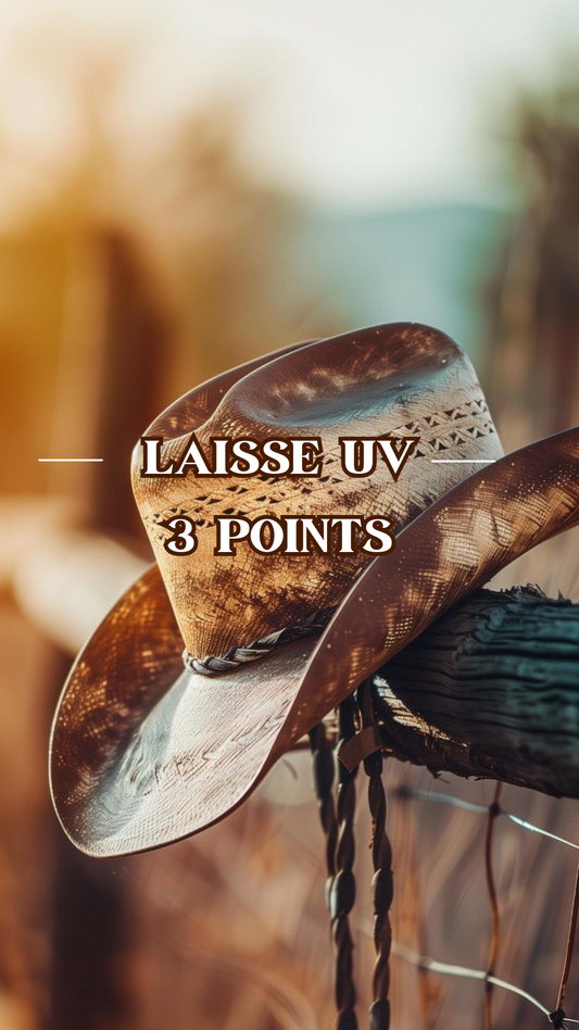 Laisse UV 3 points