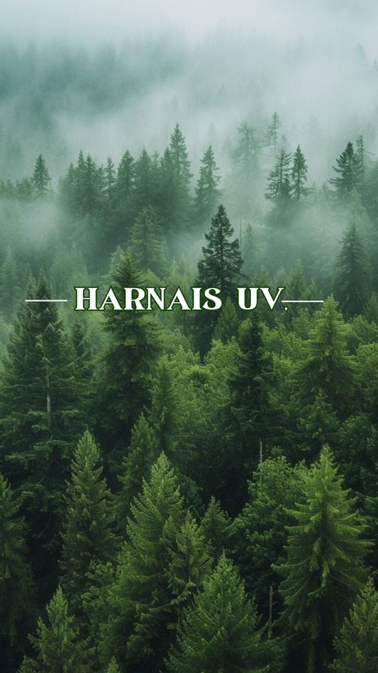 Harnais impression UV