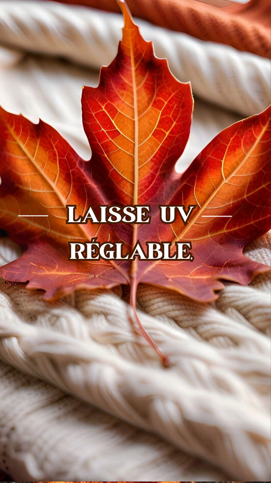 Laisse réglable en UV