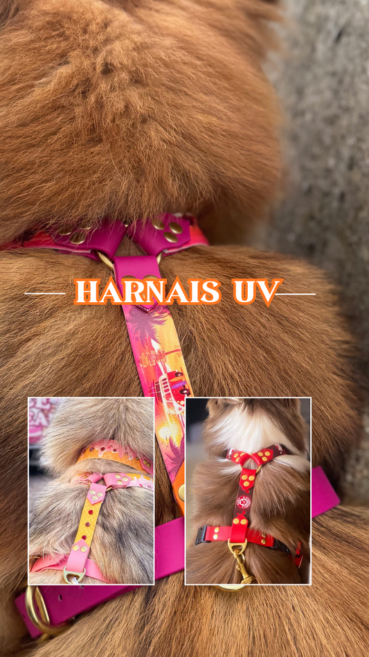 Harnais impression UV