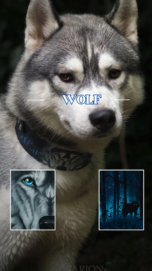 Wolf